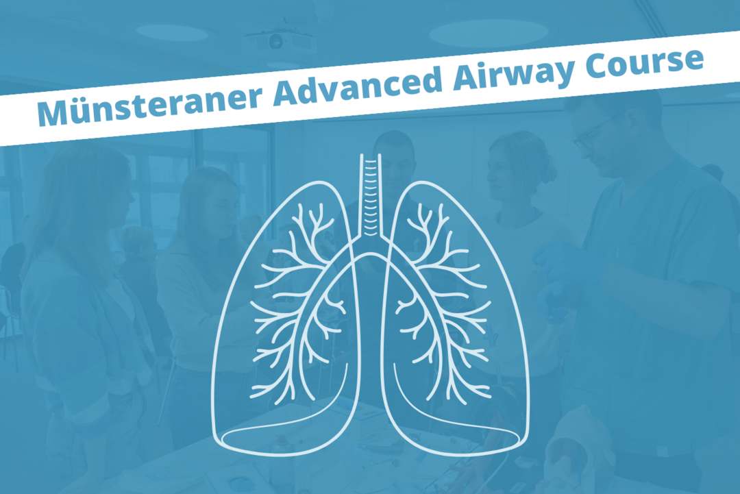 Grafik einer menschlichen Lunge mit Luftröhre, Bronchien und Lungenflügeln.