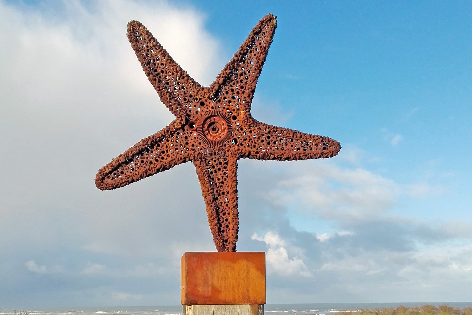 Eine Skulptur, die einen Seestern zeigt