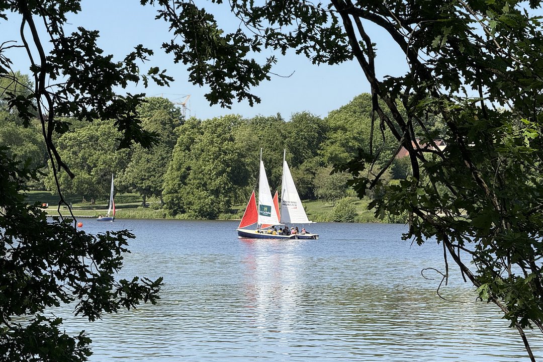 Zwei Segelboote auf dem Aasee